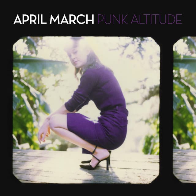 Punk Altitude album cover