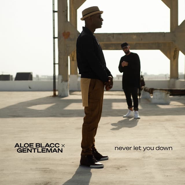 Never Let You Down (Remix) cover