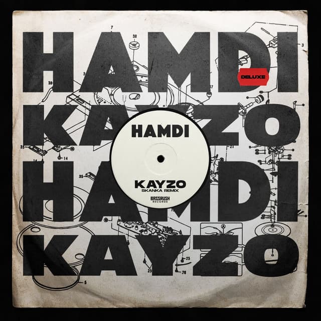 Skanka (Kayzo Remix) cover