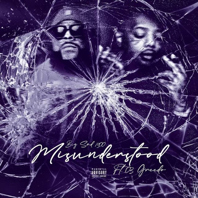 Misunderstood cover