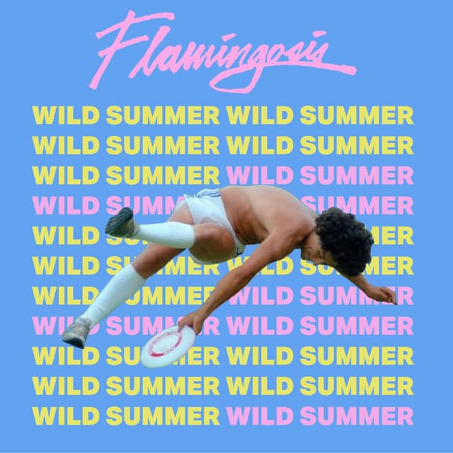 Wild Summer cover