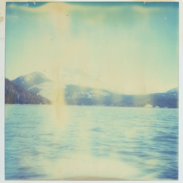 scotland, i wish you had stayed. cover
