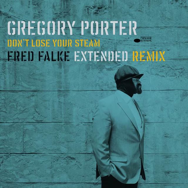 Don't Lose Your Steam (Fred Falke Extended Remix) cover