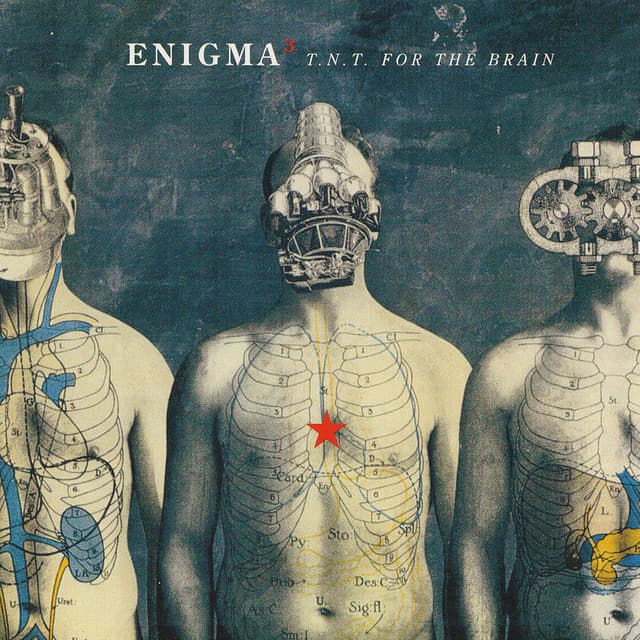 T.N.T. For The Brain cover