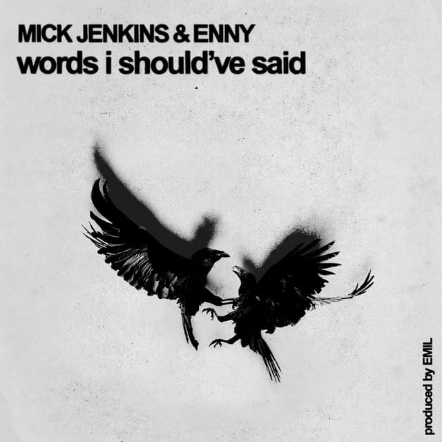 words i should've said cover