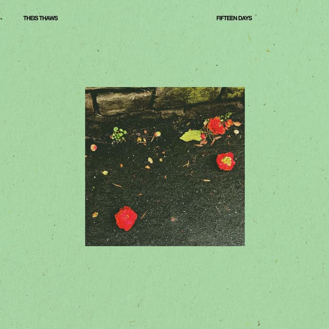 Fifteen Days cover
