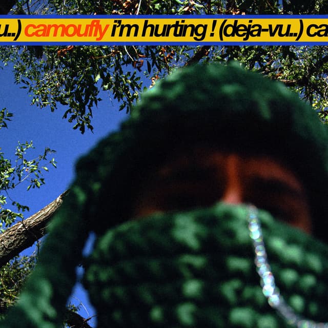 i'm hurting ! (deja-vu..) cover