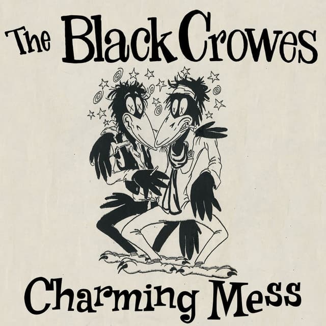 Charming Mess cover