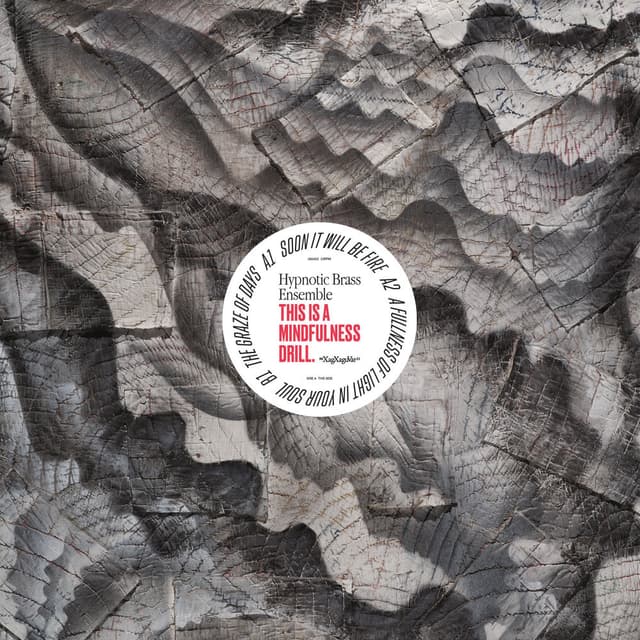 Soon It Will Be Fire (feat. Moses Sumney) cover