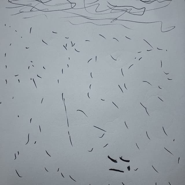 birthday tapes cover