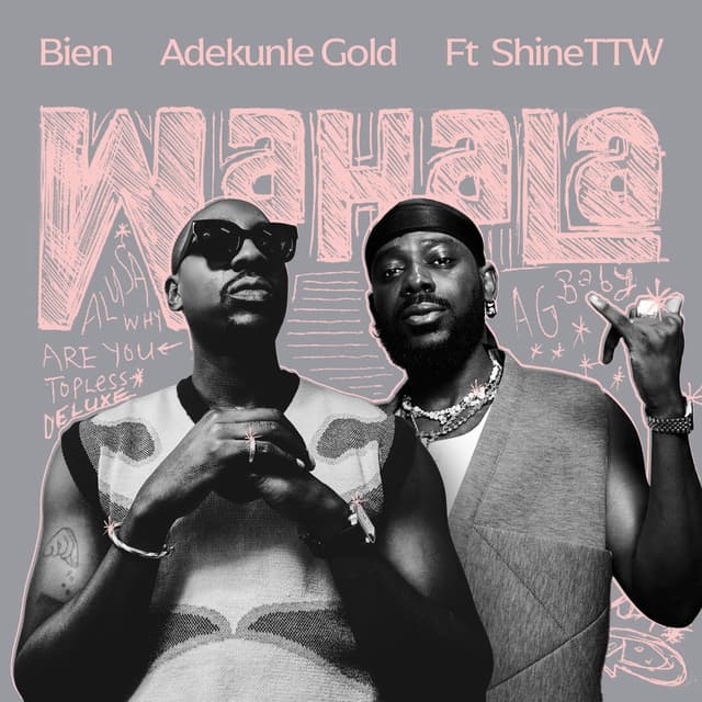 Wahala cover