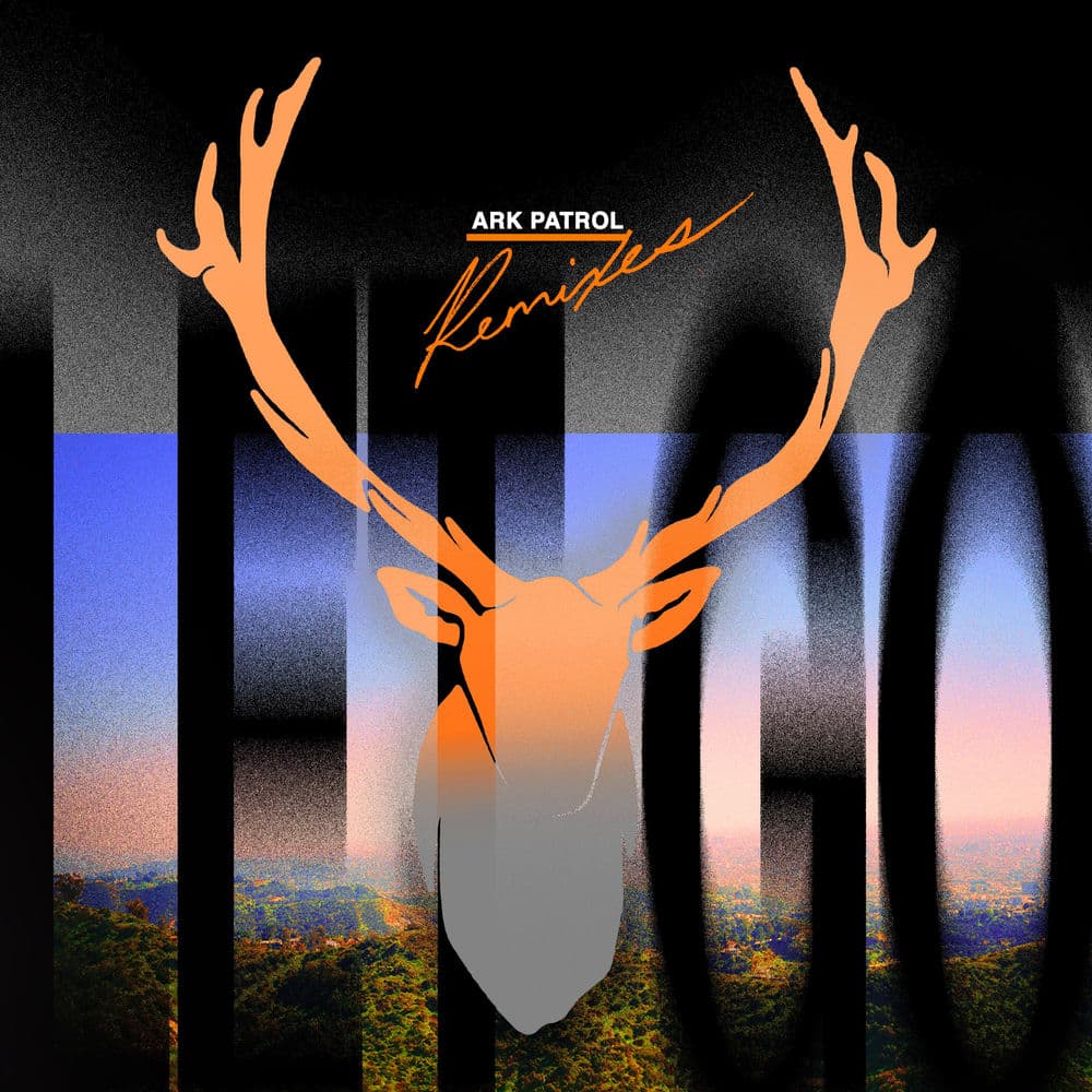 Let Go (Remixes) cover