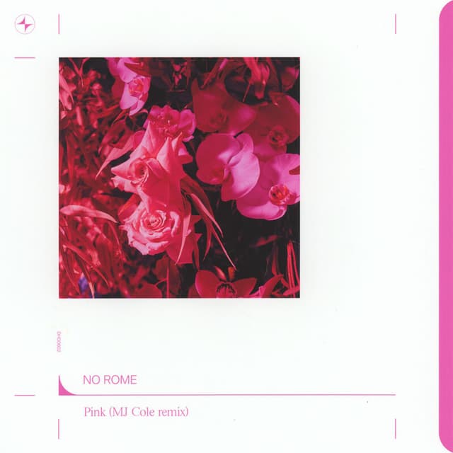 Pink (MJ Cole Remix) cover