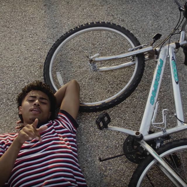 Ride cover