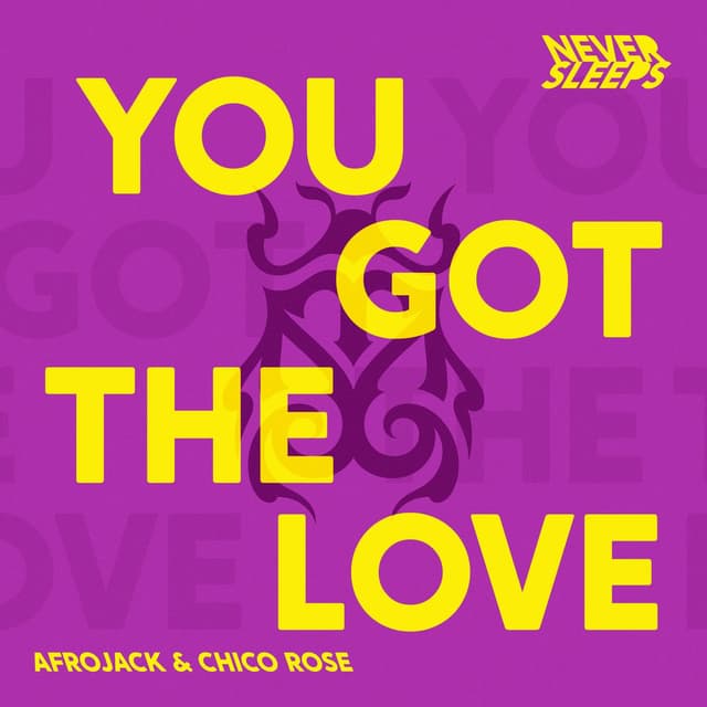 You Got The Love cover