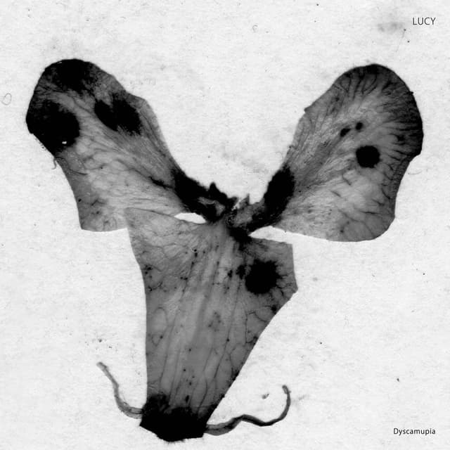 Dyscamupia cover