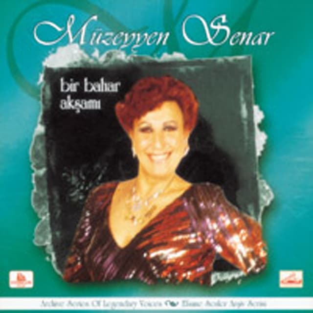 Bir Bahar Akşamı cover