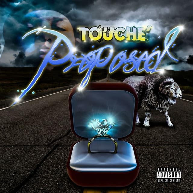 Proposed cover