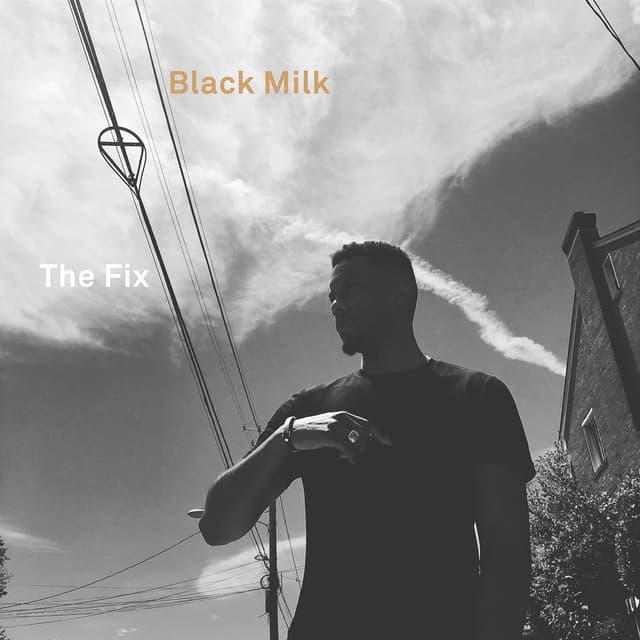 The Fix cover