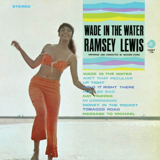 Wade In The Water cover
