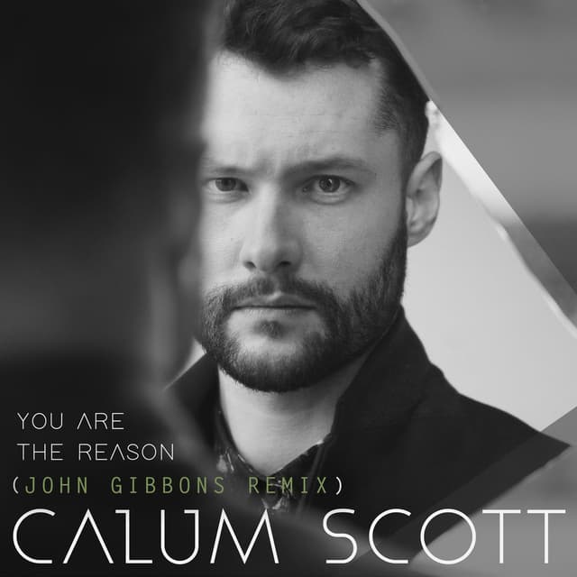 You Are The Reason (John Gibbons Remix) cover