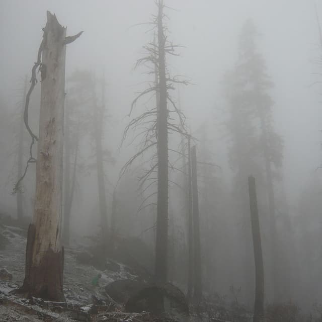 Mount Eerie Pts. 6 & 7 cover