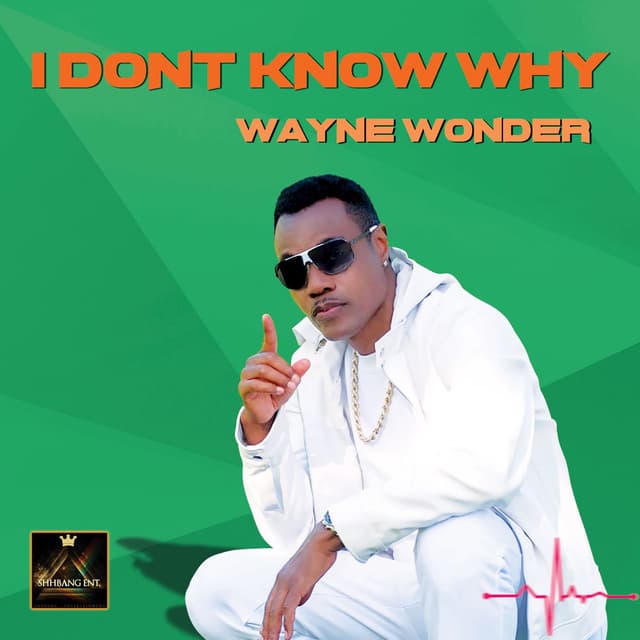 I Dont Know Why cover