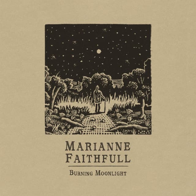 Burning Moonlight cover