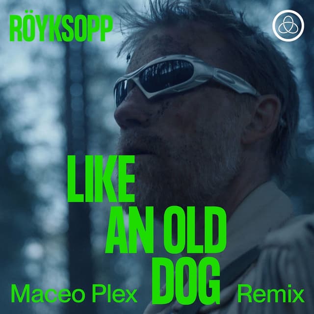 Like An Old Dog (Maceo Plex Remix) cover