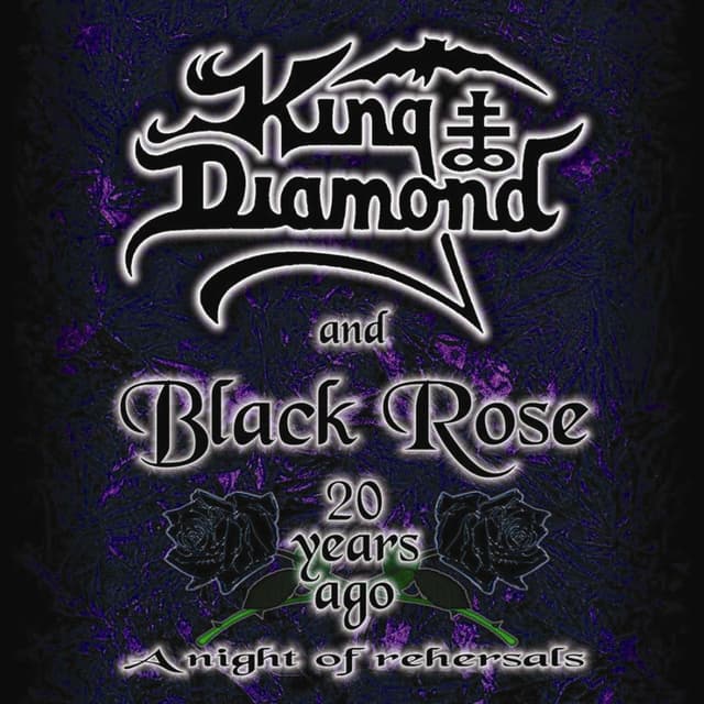 20 Years Ago: A Night of Rehearsal cover