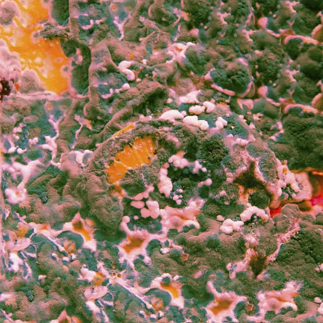 Sugar Blind EP cover