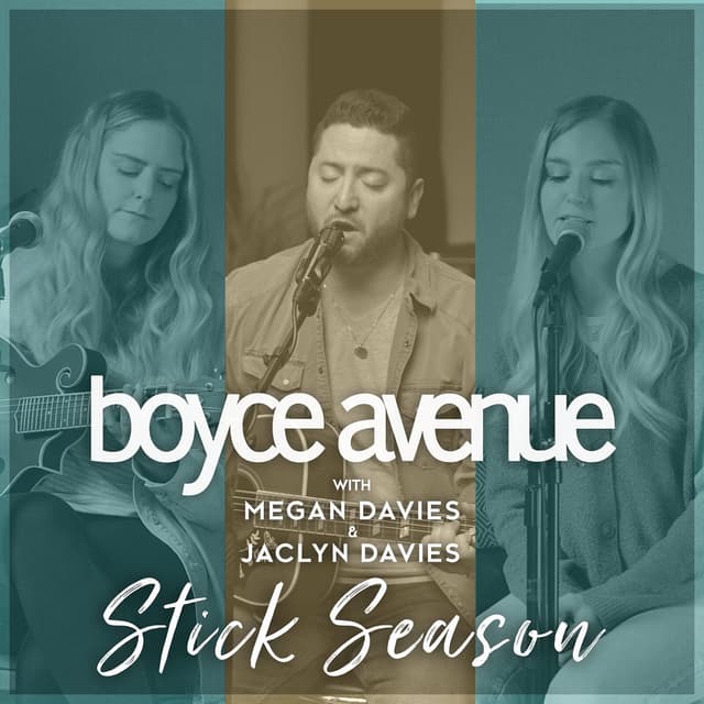 Stick Season cover