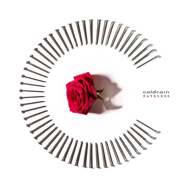 FEED THE FIRE cover