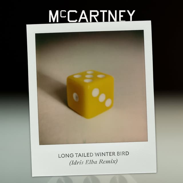 Long Tailed Winter Bird (Idris Elba Remix) cover