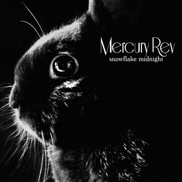 Snowflake Midnight cover