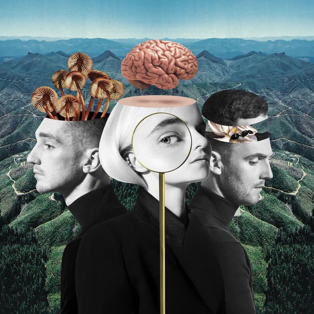 What Is Love? album cover