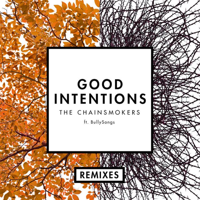 Good Intentions (Remixes) (feat. BullySongs) cover