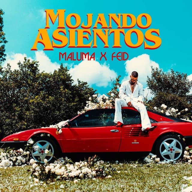 Mojando Asientos (feat. Feid) cover