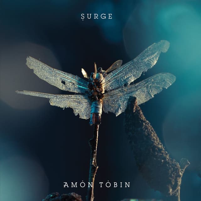 Surge cover