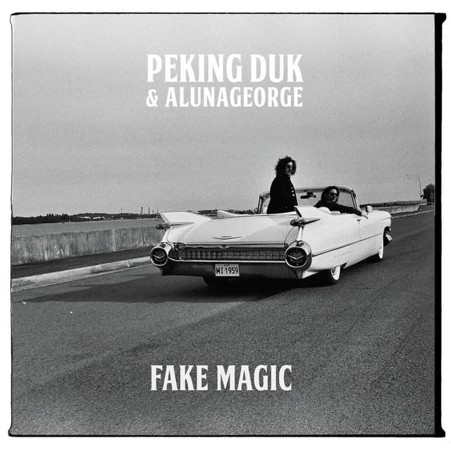 Fake Magic cover