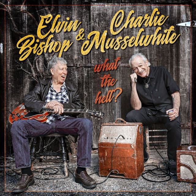 What The Hell? album cover