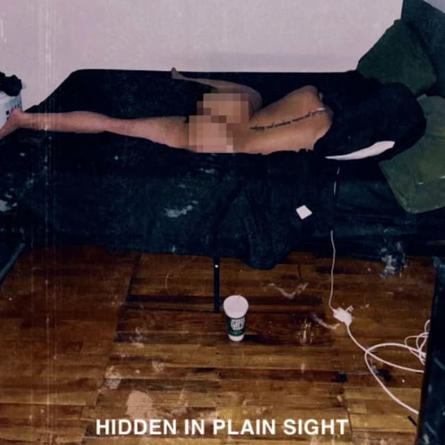 Hidden in Plain SIght cover