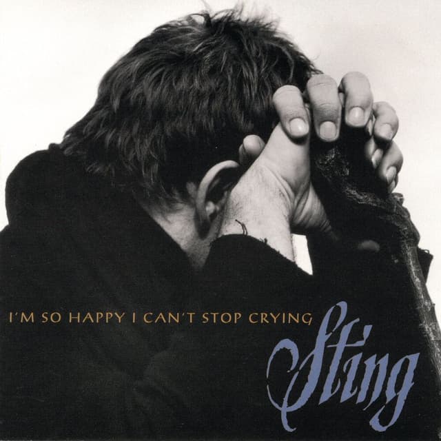 I'm So Happy I Can't Stop Crying cover