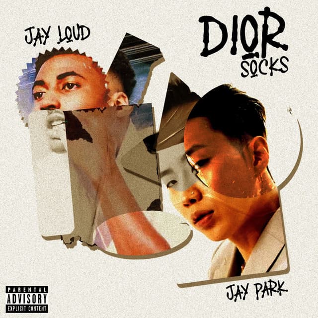 Dior Socks cover