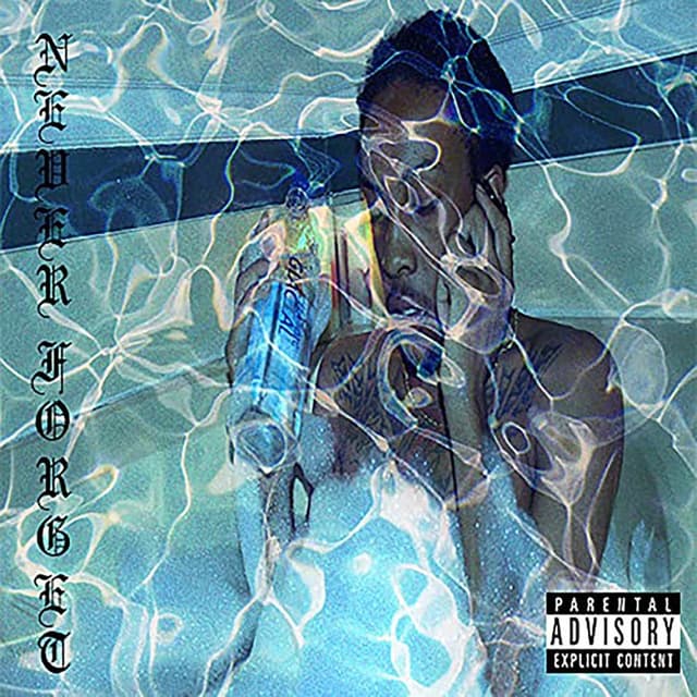 Never Forget cover