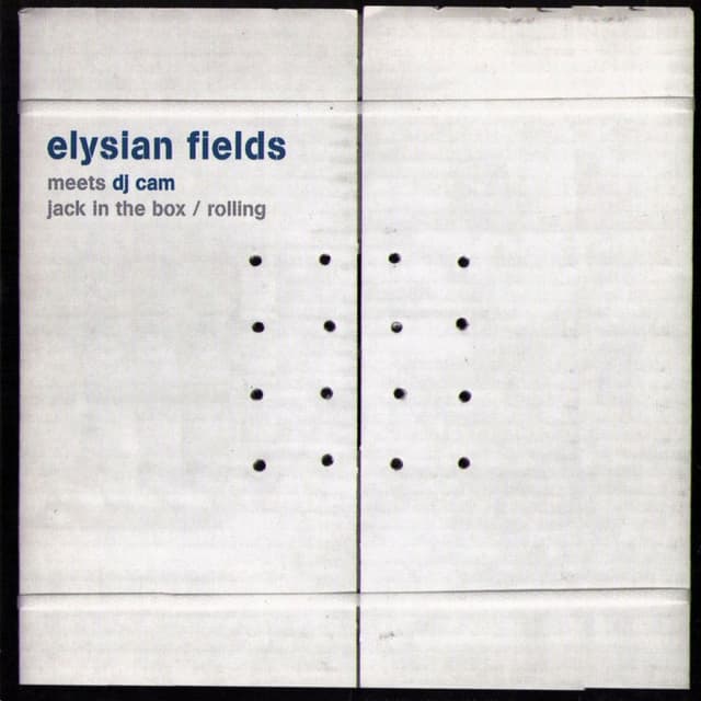 Elysian Fields meets Dj Cam album cover
