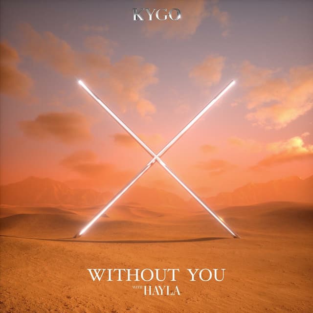 Without You (with HAYLA) cover