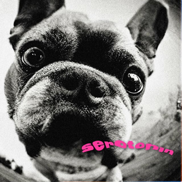 Serotonin (Deluxe) cover