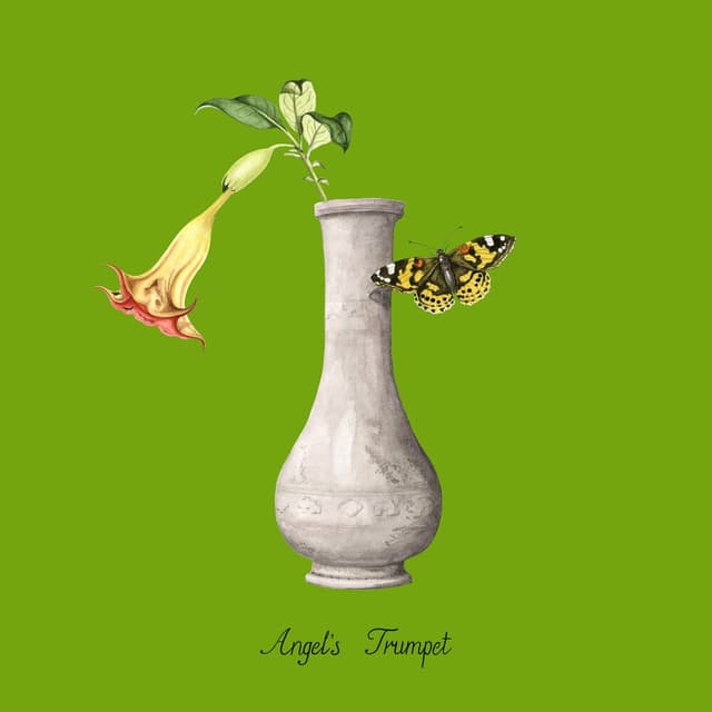 Found album cover