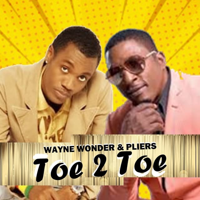 Toe 2 Toe cover